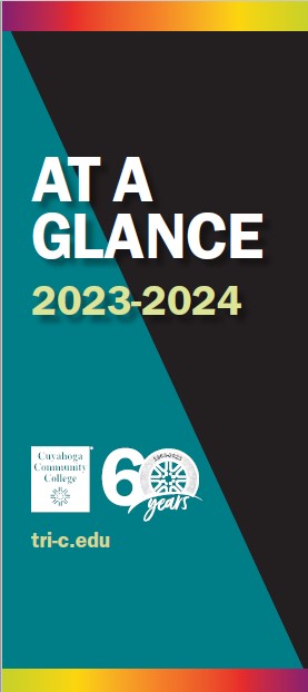 At A Glance 2021